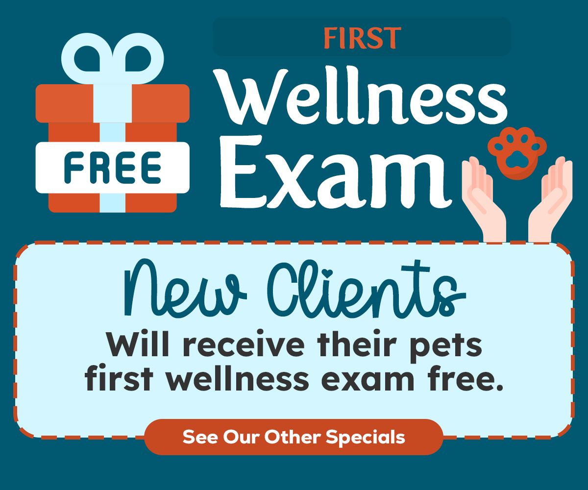 1st Wellness Exam Free Pop Up image 